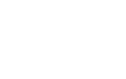 India Logo